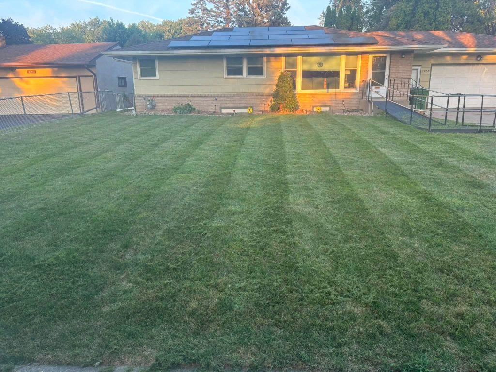 Front Yard Lawn Maintenance