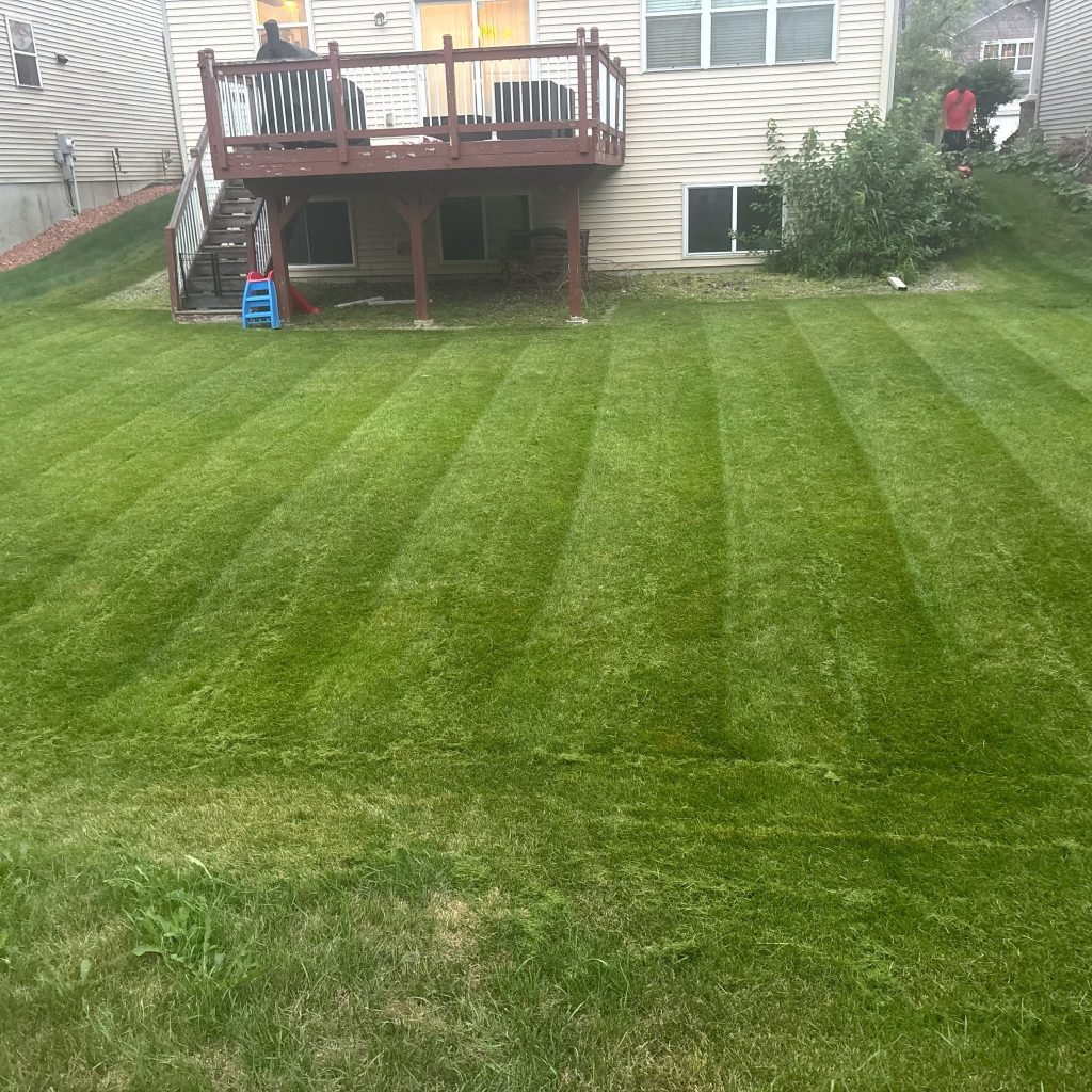 Striped Backyard Lawn